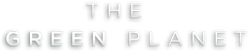 gJumb.png