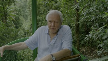 The.Green.Planet.2022.S01E01.Tropical.Worlds.2160p.Hybrid.UHD.BluRay.TrueHD.7.1.HDR.x265 DON.cz en.m