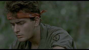 APe15.jpg